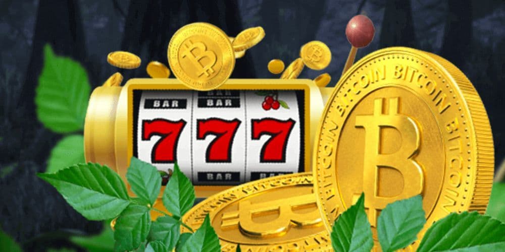 Best Free Spins Bonus Offers for US Players in 2024