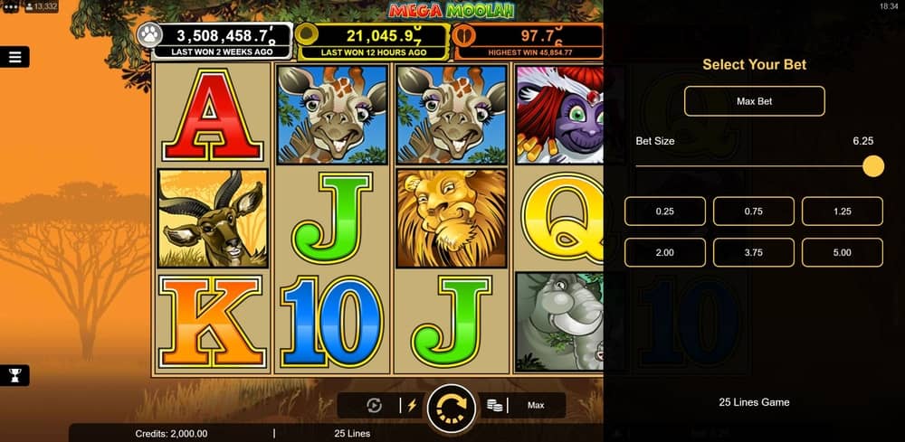 Mega Moolah casino slot game