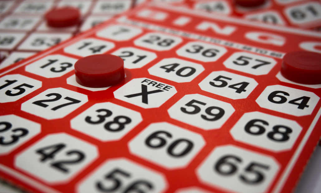 bingo or bingo slots