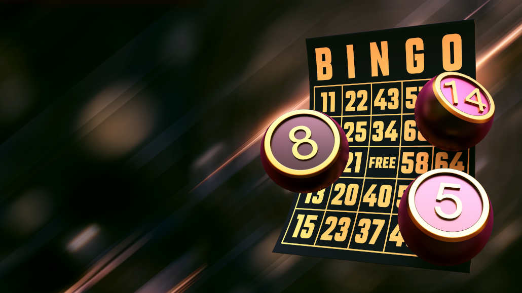 bingo vs bingo slots