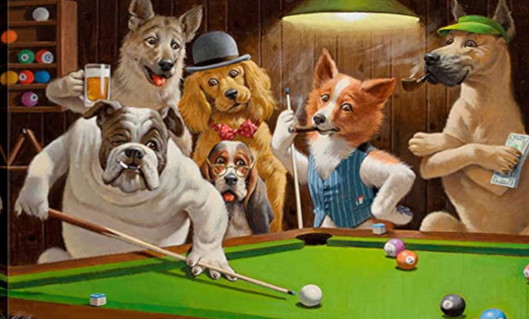 dogs playing pool