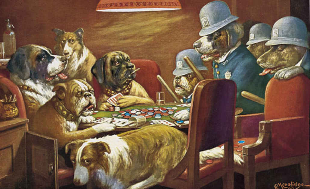 anjing asli bermain poker