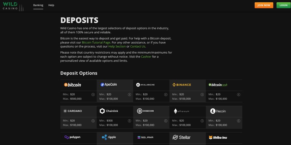 Wild Casino Payment Methods