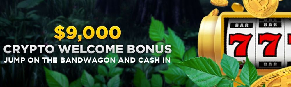 Wild Casino Welcome Bonus