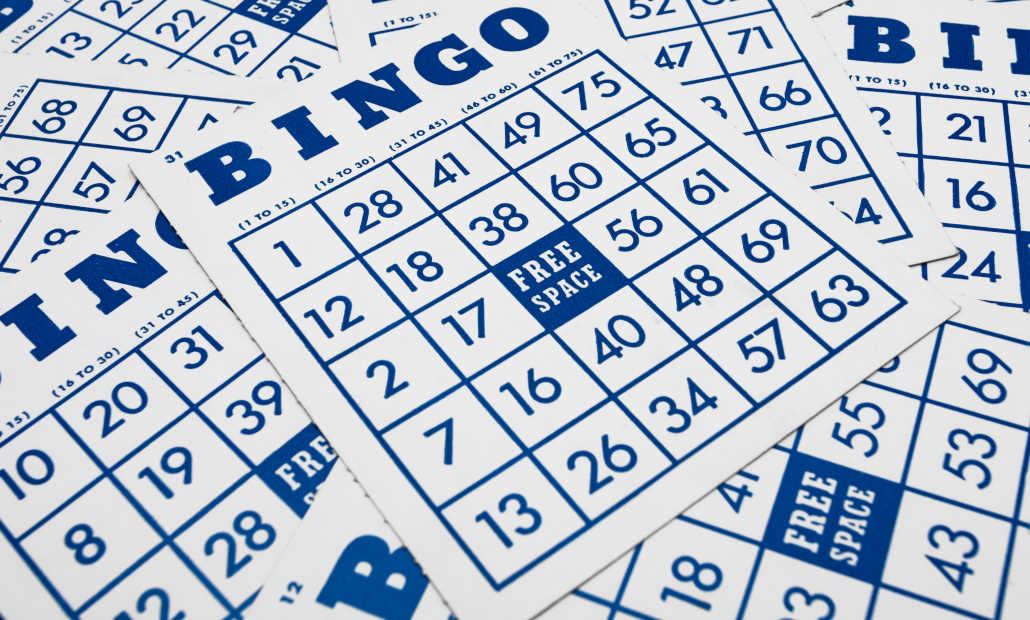 how old is bingo