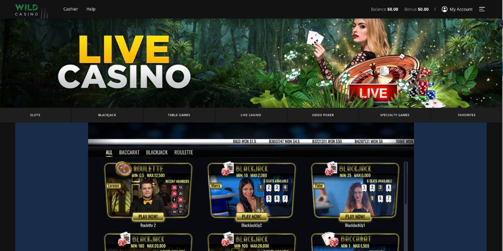 Wild Casino – US Live Casino